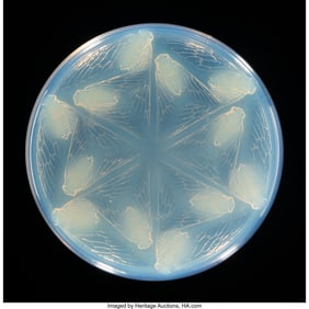 79172: René Lalique Cigales Box, circa 1921 Opalescent