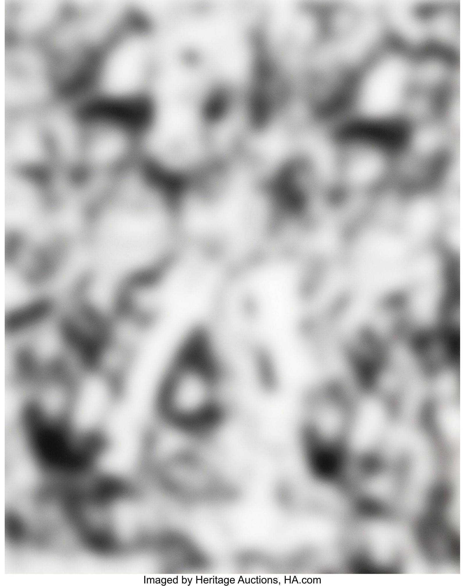 Jeff Elrod (b. 1966) Nobody Sees Like Us, circa: Jeff Elrod (b. 1966) Nobody Sees Like Us, circa 2015 Inkjet print on archival paper 39-3/4 x 14-3/4 inches (101.0 x 37.5 cm) (sheet) Ed