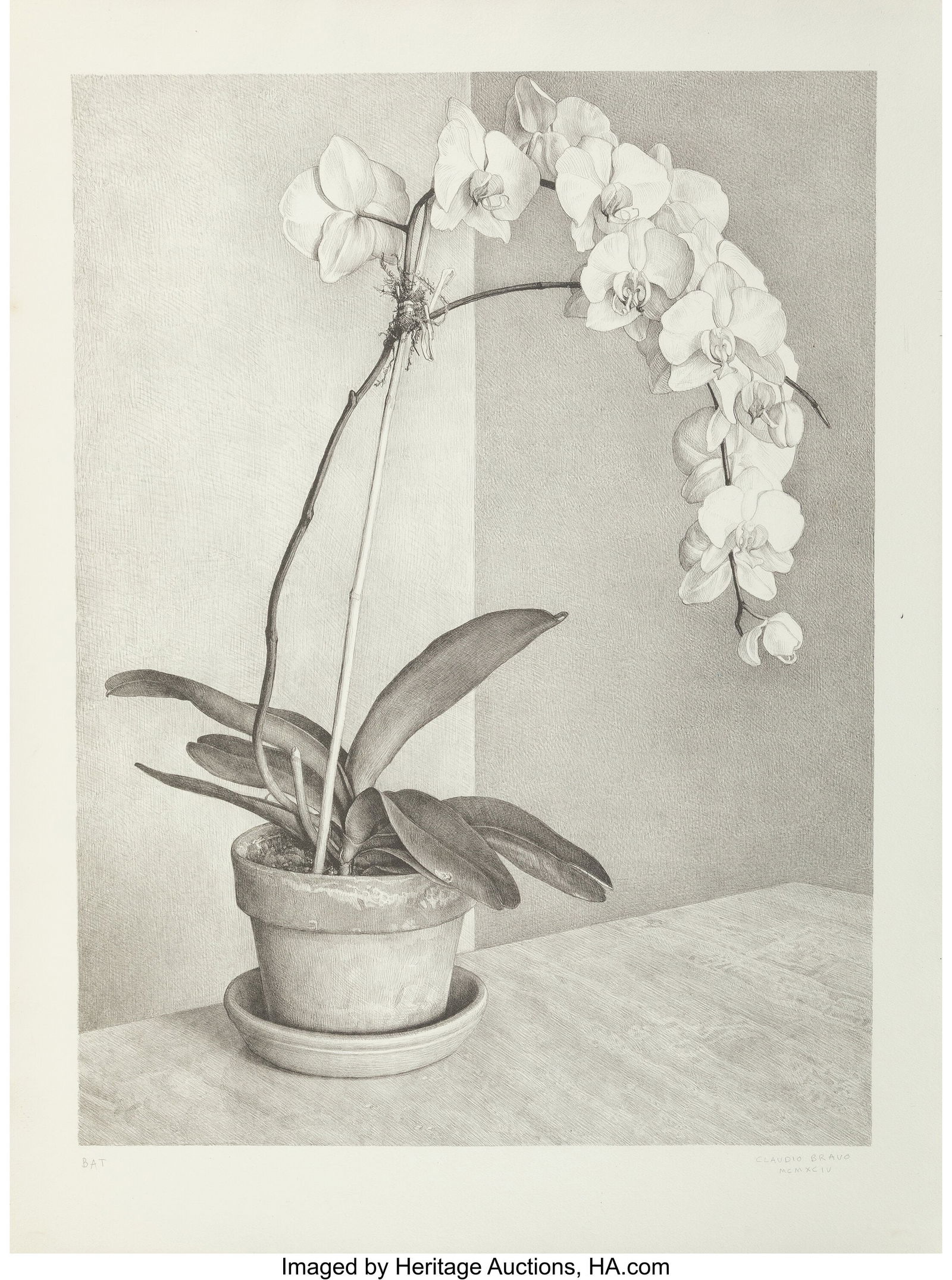 Claudio Bravo (1936-2011) Orchid, 1994 Lithograp: Claudio Bravo (1936-2011) Orchid, 1994 Lithograph on Richard de Bas paper 31 x 22-1/2 inches (78.7 x 57.1 cm) (sheet) Bon à Tirer Signed&co