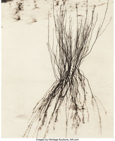 38002&colon; Joan Myers &lpar;American&comma; b&period; 1944&rpar; White Sands&comma; 1980