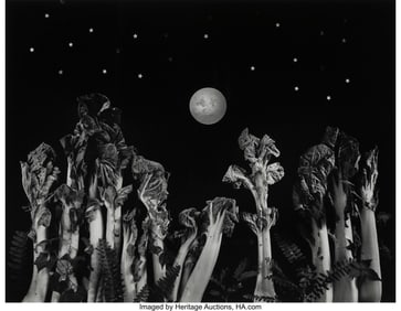 38009&colon; Diane Farris &lpar;American&comma; 20th Century&rpar; Moon Over 