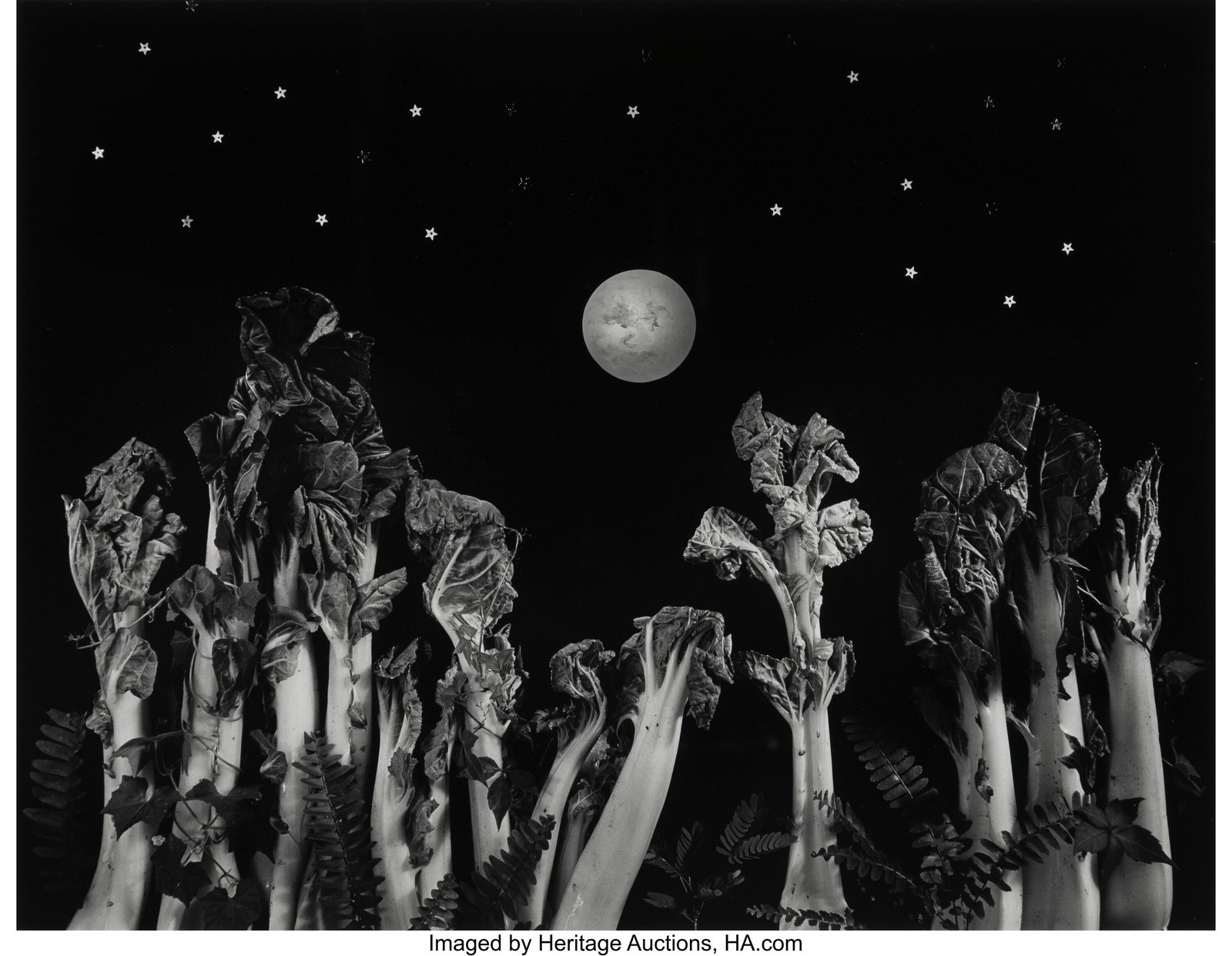 Diane Farris (American, 20th Century) Moon Over : Diane Farris (American, 20th Century) Moon Over Bok Choy, 1981 Gelatin silver print 10-1/2 x 13-1/2 inches (26.7 x 34.3 cm) (image/sheet&