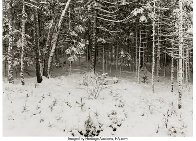 38015&colon; Paul Caponigro &lpar;American&comma; 1932-2024&rpar; Cushing&comma; Ma