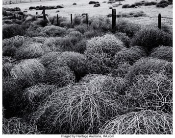 38017&colon; Henry Edmund Gilpin &lpar;American&comma; 1922-2011&rpar; Tumble