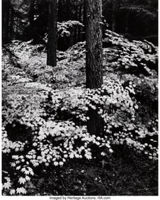 38019&colon; Don Worth &lpar;American&comma; 1924-2009&rpar; Autumn&comma; Oregon&comma; 