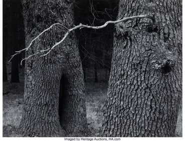 38020&colon; Robert Osborn &lpar;American&comma; 1904-2004&rpar; Two Oaks&comma; Yo