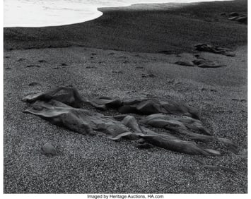 38021&colon; Paul Caponigro &lpar;American&comma; 1932-2024&rpar; Pebble Beac