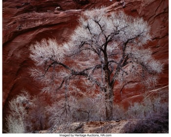 38031&colon; Joseph Holmes &lpar;American&comma; b&period; 1952&rpar; Glacial Silt&comma; 