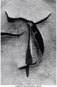 38067&colon; Lucien Clergue &lpar;French&comma; 1934-2014&rpar; Camargue&comma; 198