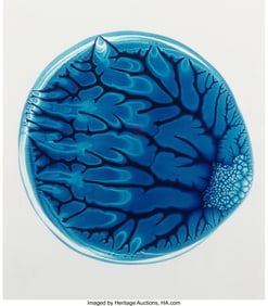 38165&colon; Adam Fuss &lpar;British&comma; b&period; 1961&rpar; Untitled&comma; 1987 Dye 