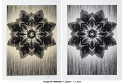 43147&colon; Shepard Fairey X Kai and Sunny Obey X Kai & Sunn