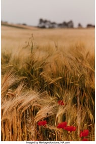 39021: Ralph Gibson (American, b. 1939) Untitled (from