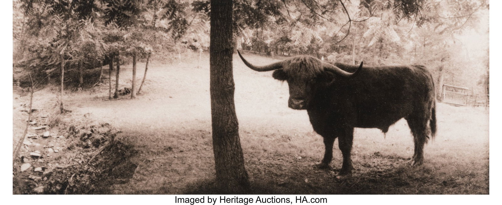 Allan Janus (American, b. 1951) Group of 18 phot: Allan Janus (American, b. 1951) Group of 18 photographs, 1980s Platinum prints 5-1/2 x 10 inches (14.0 x 25.4 cm) (sheets) (larg