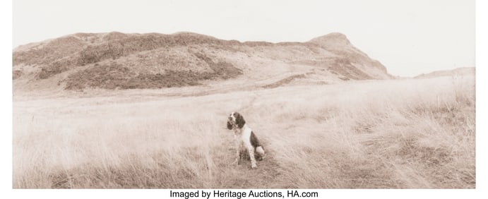 39054&colon; Allan Janus &lpar;American&comma; b&period; 1951&rpar; Group of 14 phot