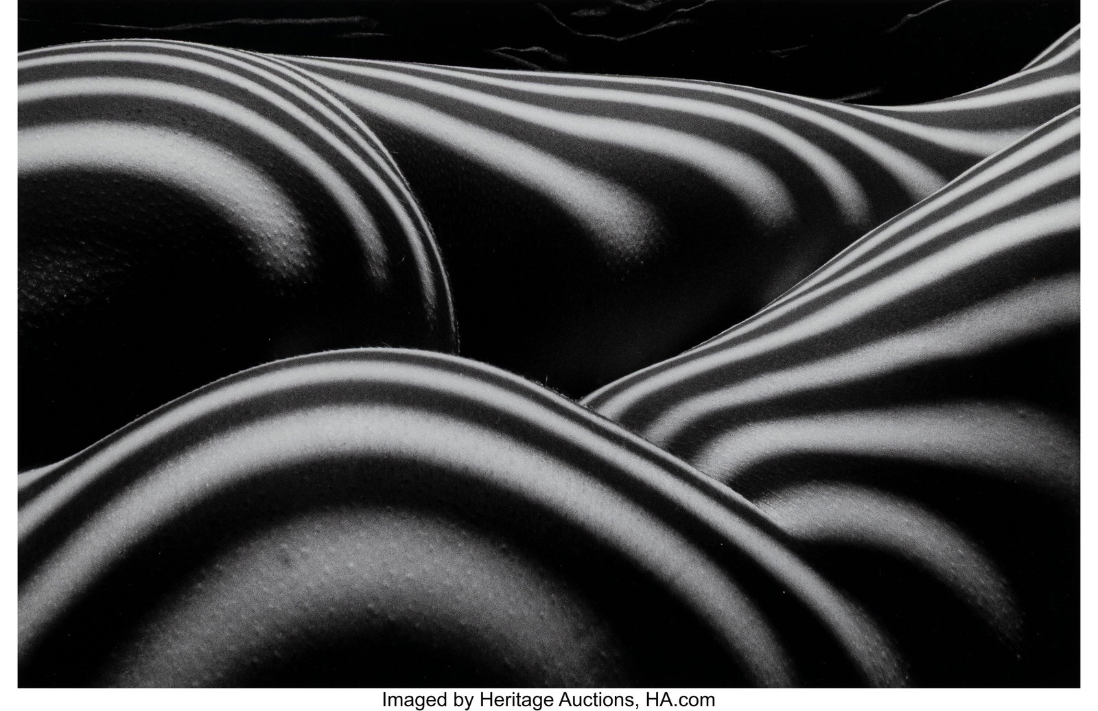 Lucien Clergue (French, 1934-2014) Zebra Nude, 1: Lucien Clergue (French, 1934-2014) Zebra Nude, 1997 Digital pigment print, printed 2011 11-1/4 x 17 inches (28.6 x 43.2 cm) (image) 16