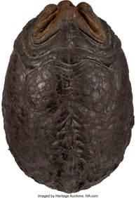 38331&colon; Alien&colon; Resurrection &lpar;TCF&comma; 1997&rpar;&comma; Xenomorph Egg a