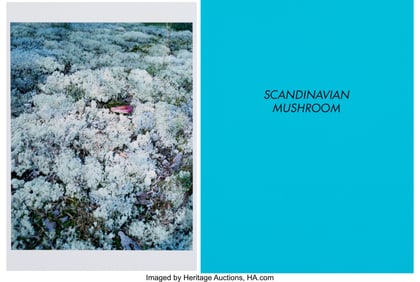 42154&colon; Takashi Homma &lpar;b&period; 1962&rpar; Scandinavian Mushroom &lpar;S