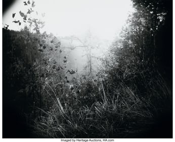 38005&colon; Sally Mann &lpar;American&comma; b&period;1951&rpar; Untitled &lpar;Bushes&rpar;&comma;