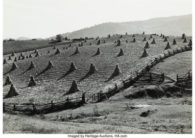 38013&colon; Marion Post Wolcott &lpar;American&comma; 1910-1990&rpar; Split 