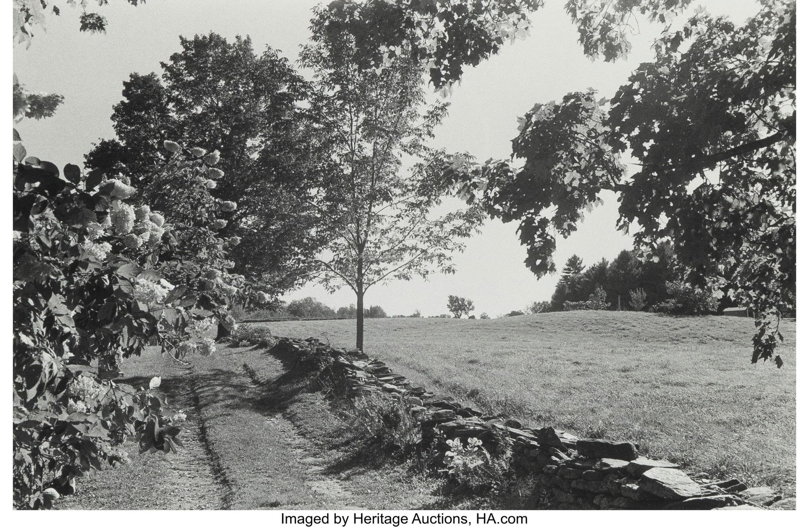 Philip Perkis (American, b.1935) Untitled (Trees: Philip Perkis (American, b.1935) Untitled (Trees and Tire Tracks), 1978 Gelatin silver print 5-5/8 x 8-1/2 inches (14.3 x 21.6 cm&rpar