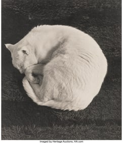 38028&colon; Brian Lav &lpar;American&comma; 20th Century&rpar; White Cat&comma; 19
