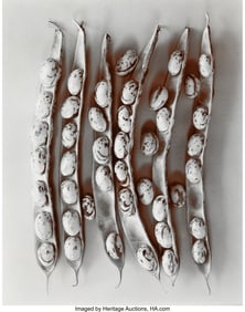 38030&colon; Olivia Parker &lpar;American&comma; b&period; 1941&rpar; Shell Beans&comma; 1