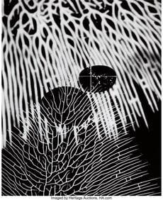 38032&colon; Gyorgy Kepes &lpar;American&sol;Hungarian&comma; 1906-2001&rpar; Lig