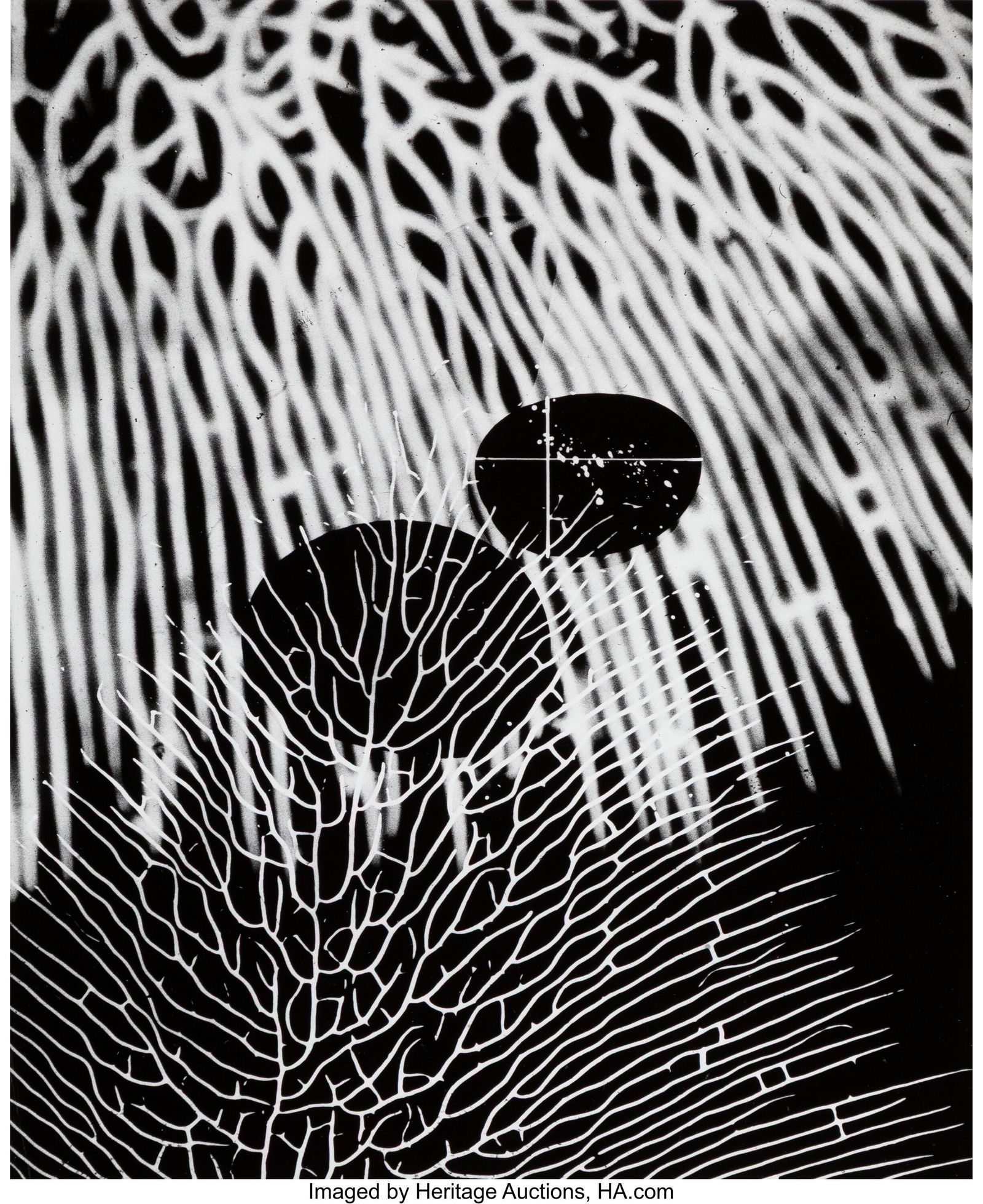 Gyorgy Kepes (American/Hungarian, 1906-2001) Lig (1 of 3)