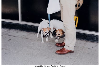 38150&colon; Alec Soth &lpar;American&comma; b&period; 1969&rpar; Brighton Picture H