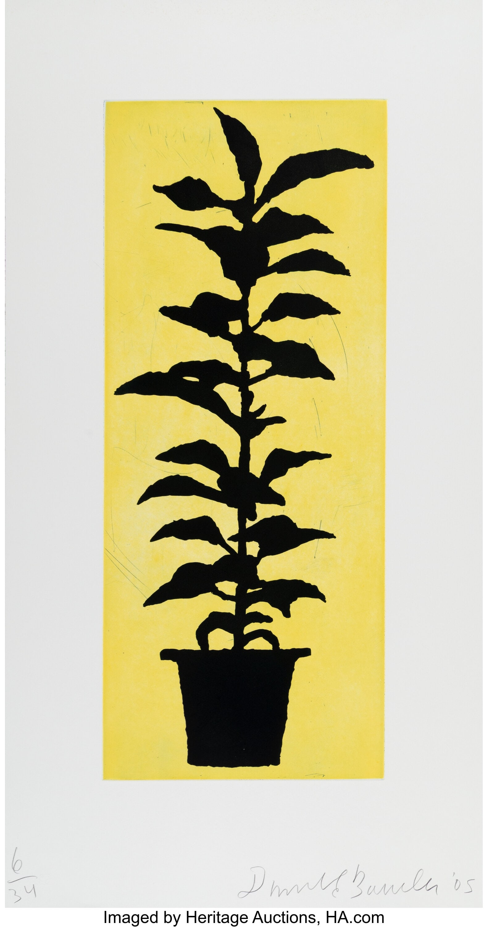 Donald Baechler (b. 1956) Potted Plant, 2005 Aqu (1 of 1)