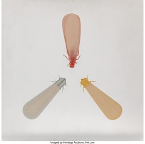 36147: Paul Paiement (b. 1966) Hybrids E-Isoptera Light