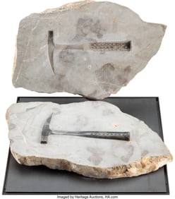 36254: Ben Jakober (b. 1930) Anomalous Fossil No. 2, 19