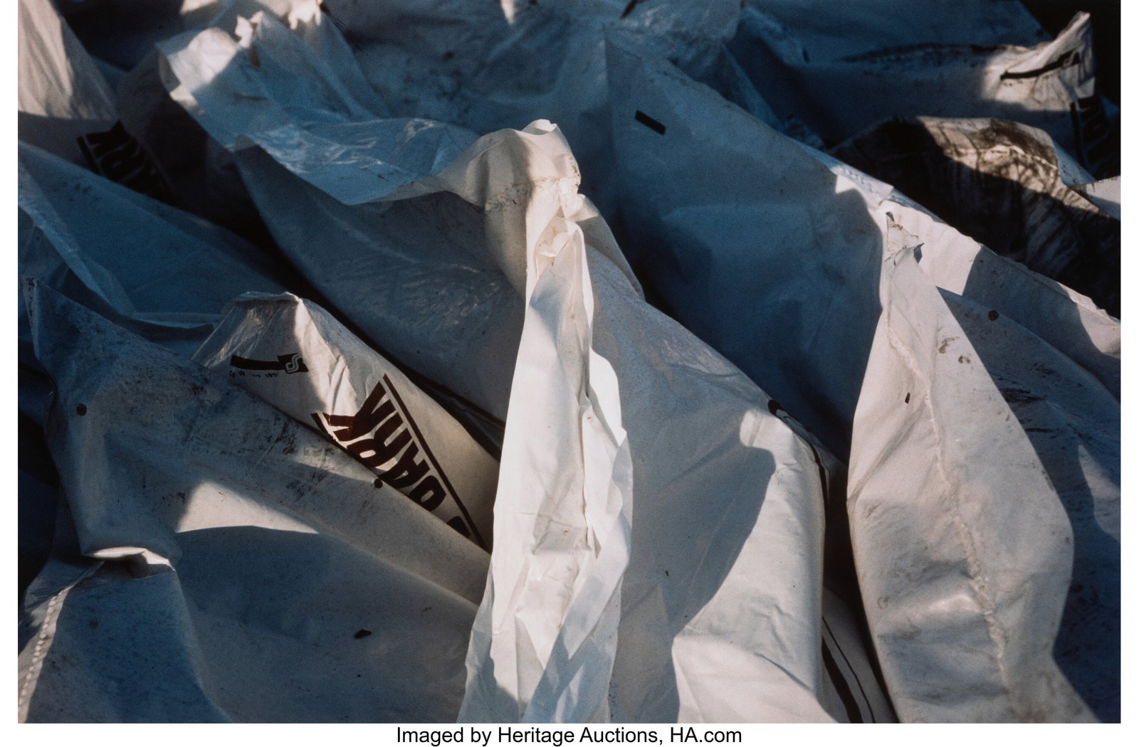 Franz Bader (1903-2003) Bark, 1988 Dye bleach pr: Franz Bader (1903-2003) Bark, 1988 Dye bleach print 13 x 19-1/2 inches (33.0 x 49.5 cm) (sight) Editioned 1/10 on label affixed to mount verso