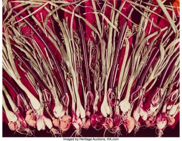36338: Stanley Bowman (20th Century) Radishes, Onions,