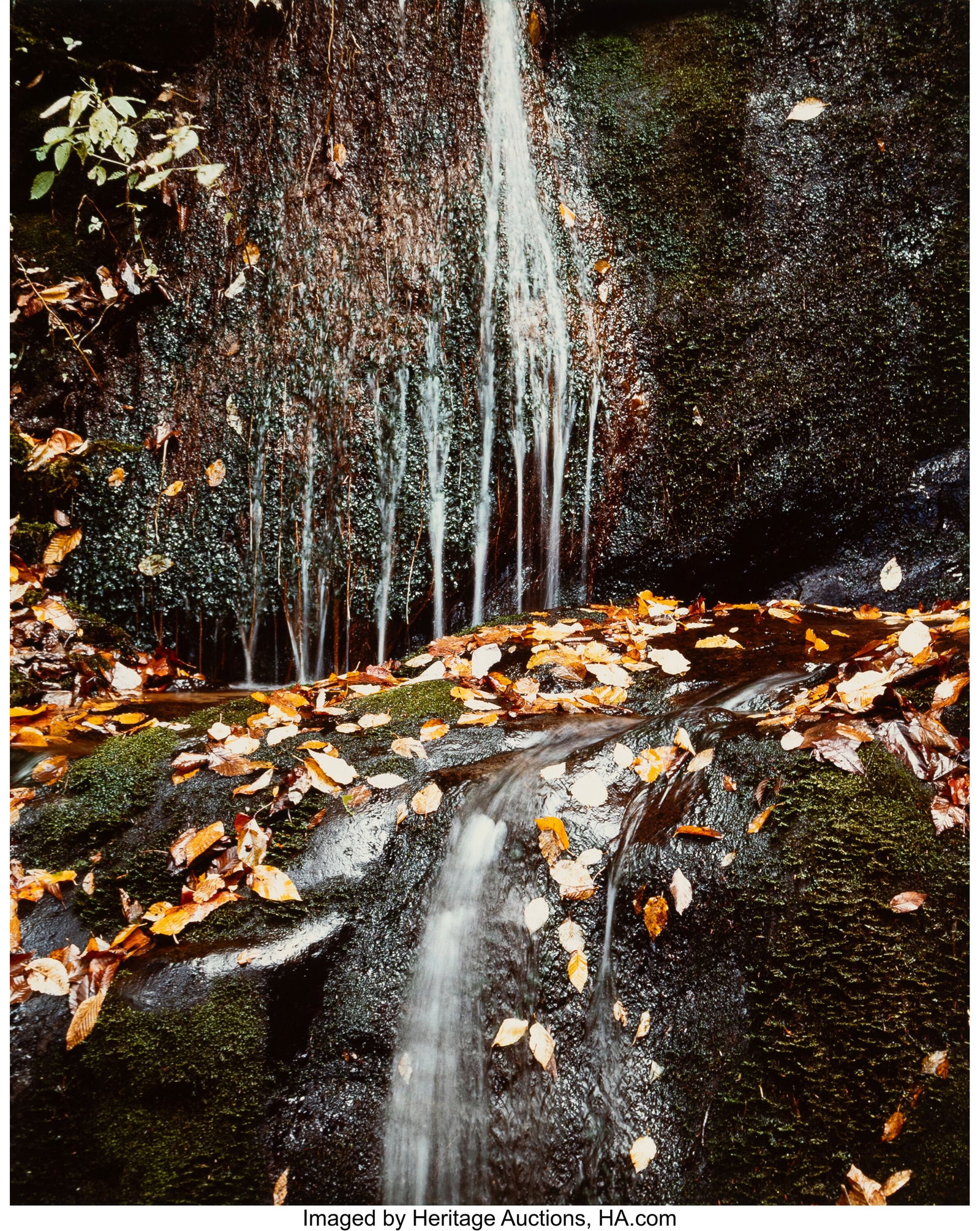 Eliot Furness Porter (American, 1901-1990) Runni (1 of 2)