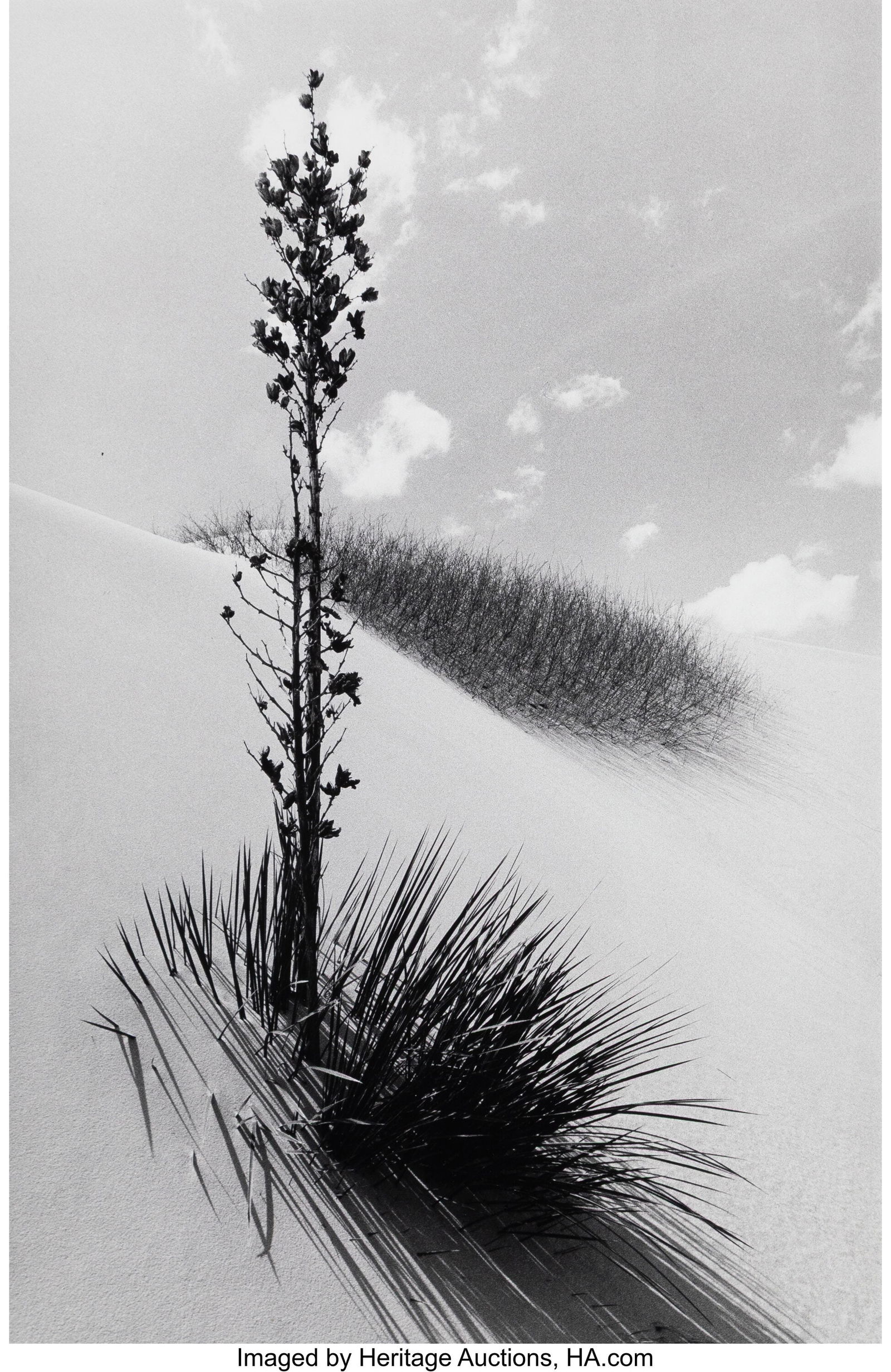 Lucien Clergue (French, 1934-2014) Desert of Whi (1 of 3)