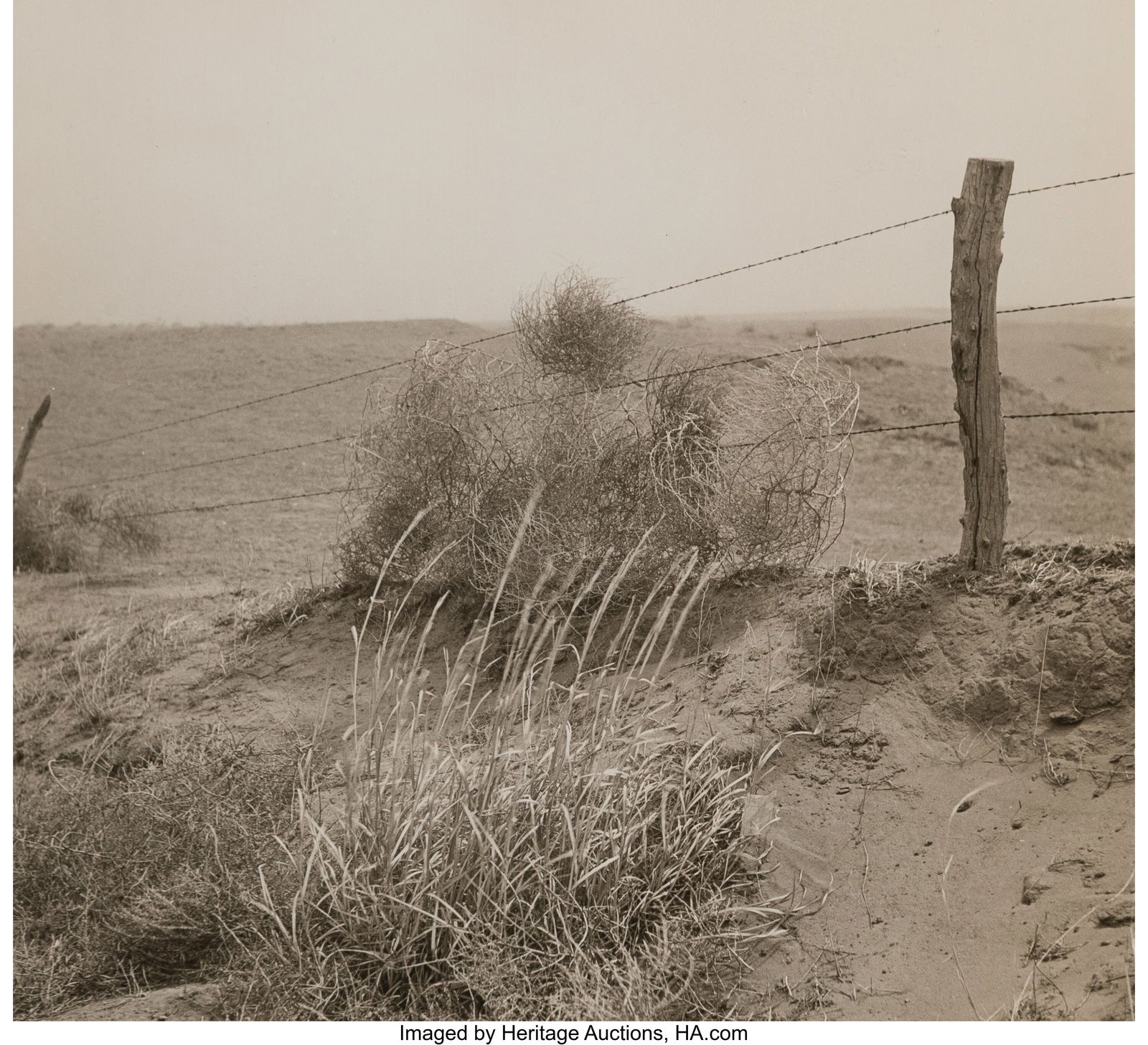 Arthur Rothstein (American, 1915-1985) Tumble We (1 of 4)