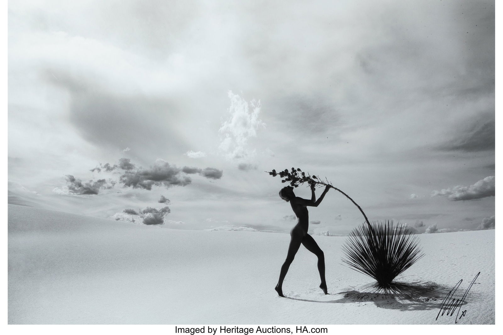 Raphael Mazzucco (Canadian, b. 1965) Untitled (N (1 of 2)