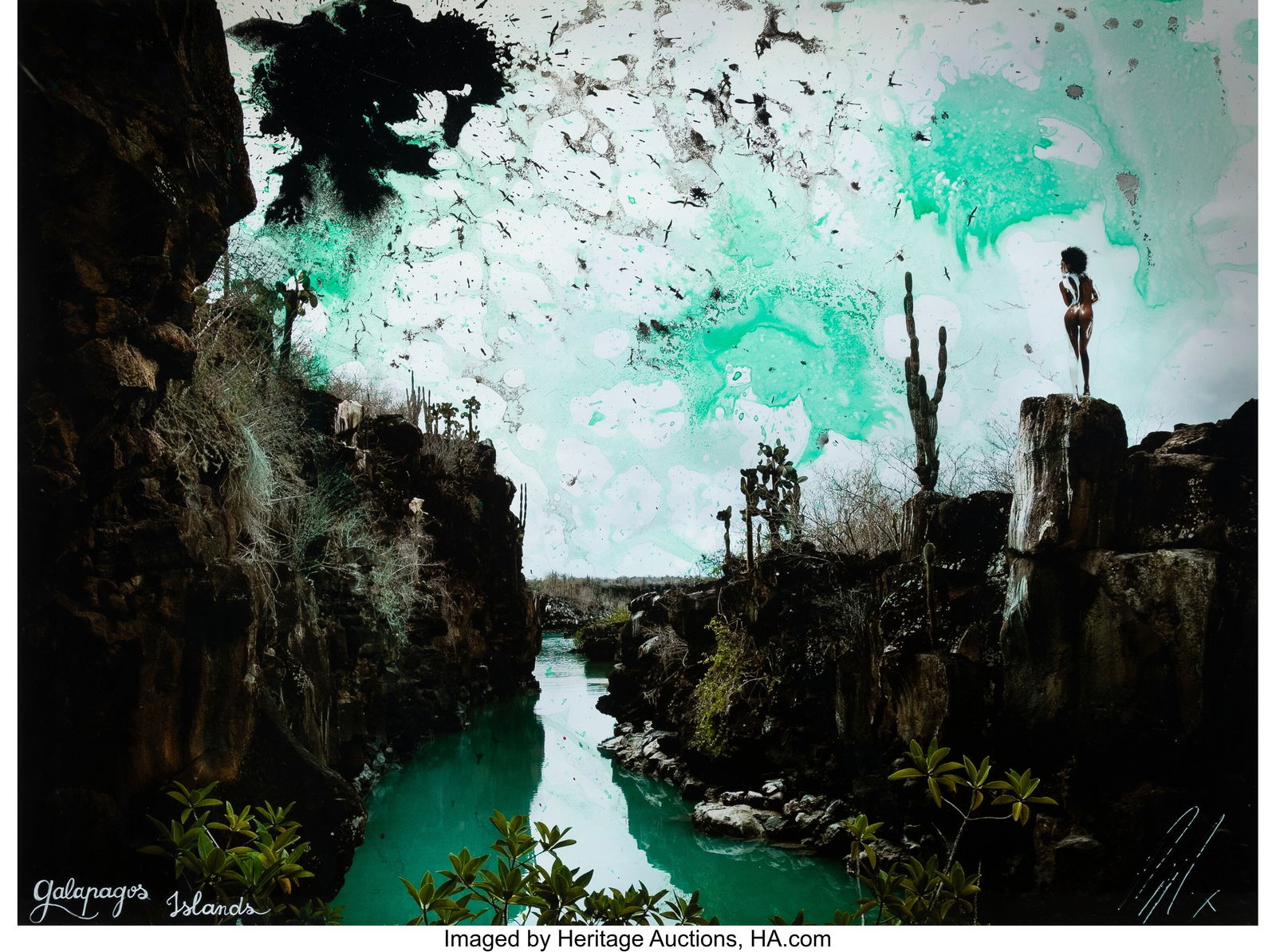 Raphael Mazzucco (Canadian, b. 1965) Galapagos I (1 of 2)