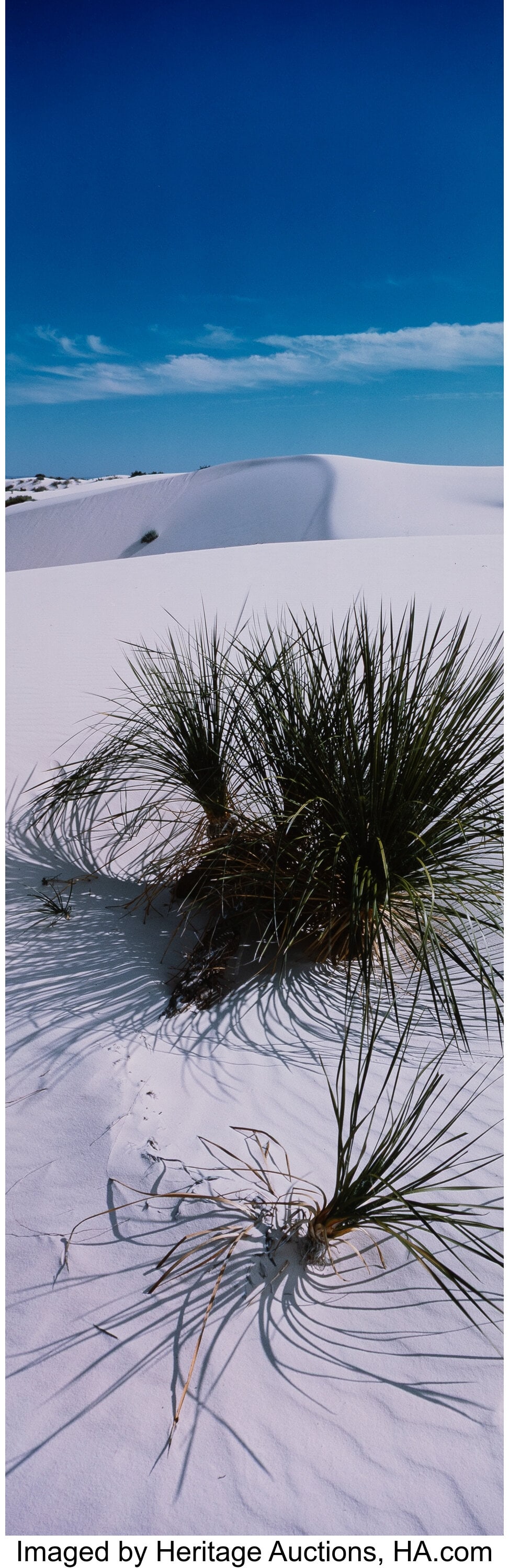 Lucien Clergue (French, 1934-2014) Desert of Whi: Lucien Clergue (French, 1934-2014) Desert of White Sands, 1985 Dye bleach print, printed 1988 30 x 9-7/8 inches (76.2 x 25.1 cm) (image&rpa