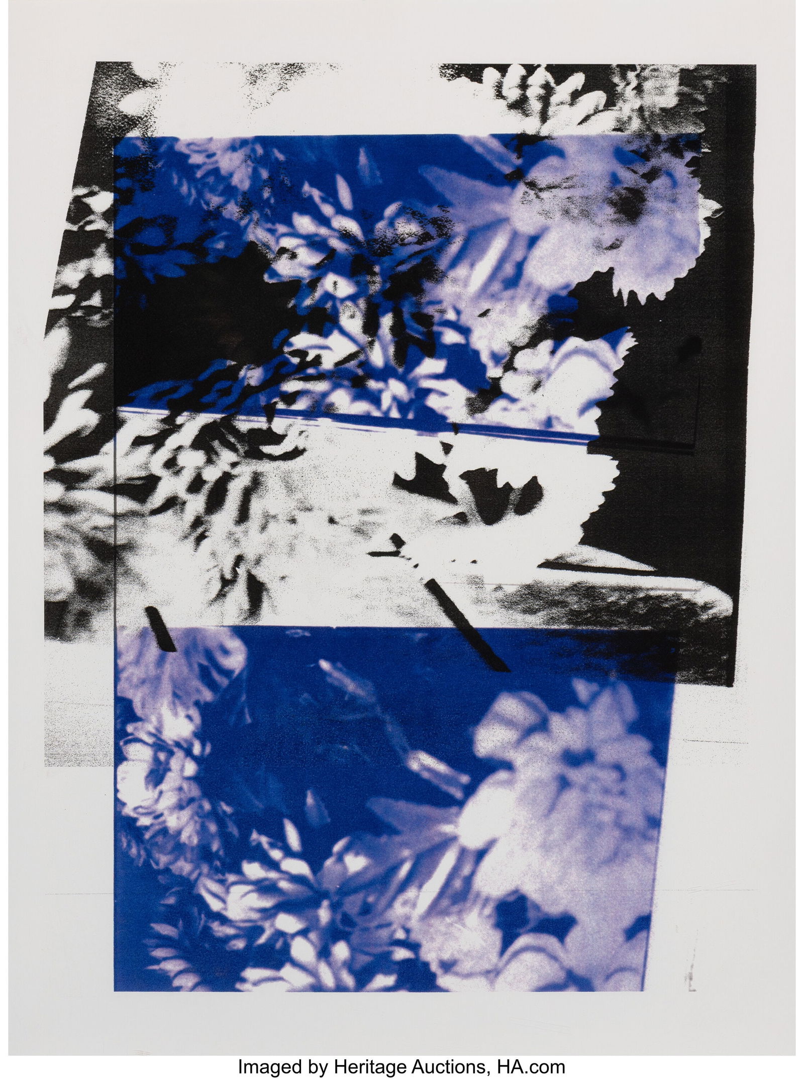 Tamar Halpern (American, b. 1979) F*cked Flowers (1 of 3)