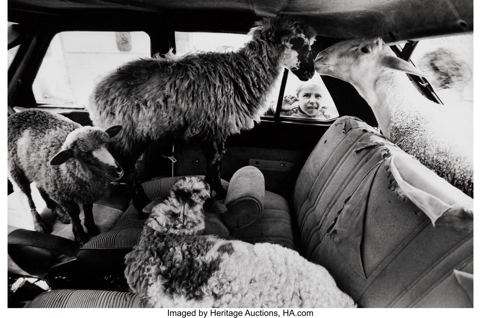 Gianni Berengo Gardin (Italian, 1930-2025) Paver: Gianni Berengo Gardin (Italian, 1930-2025) Paverno, Campo Nomadi (Paverno, Gypsy Camp), 1995 Gelatin silver print 10 x 15 inches (25.4 x 38&peri