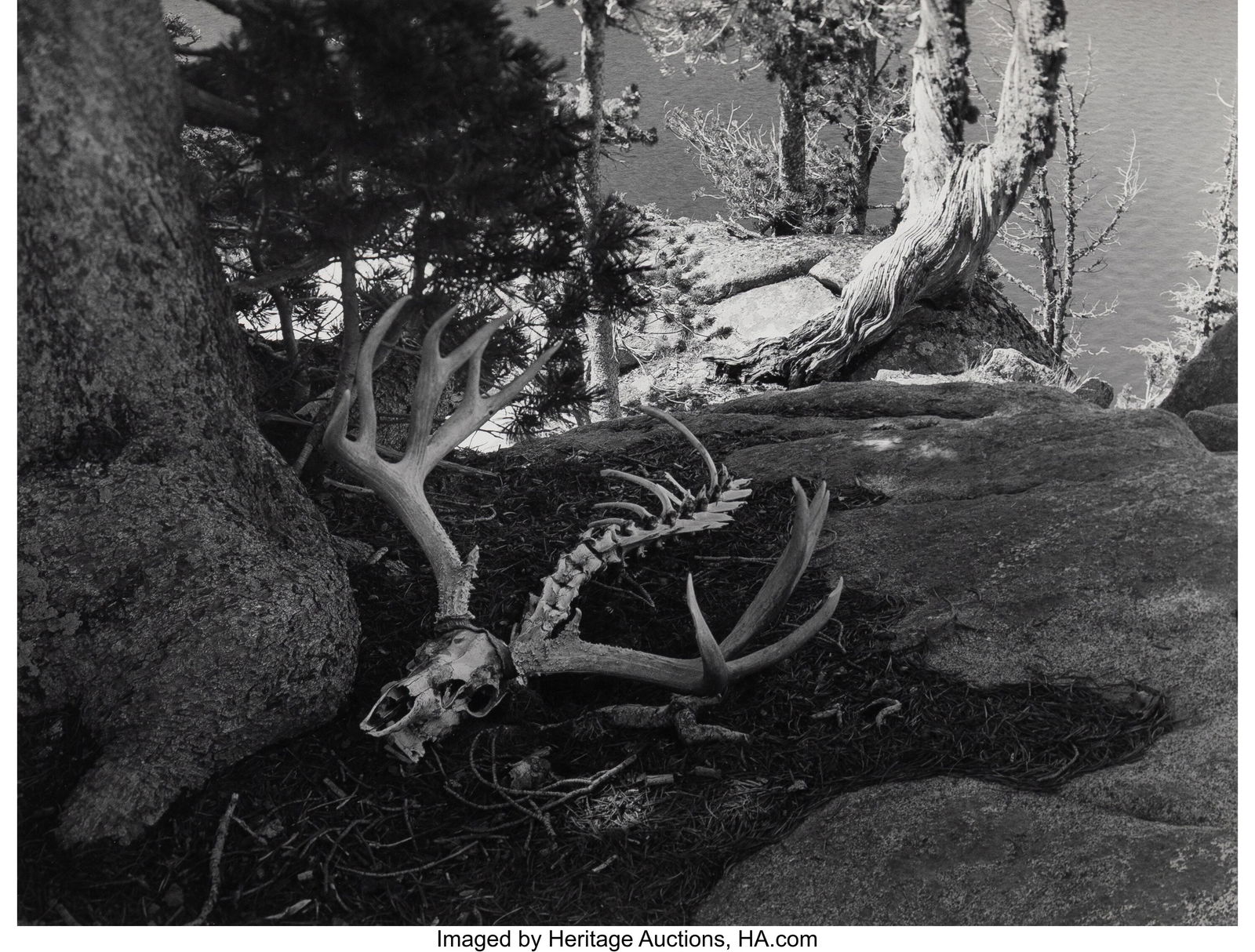 Minor White (American, 1908-1976) Steamboat Lake (1 of 3)