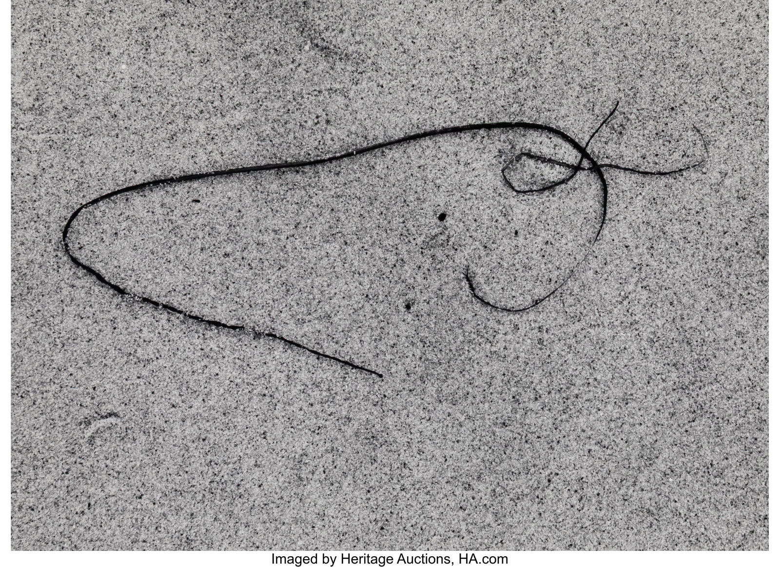 Aaron Siskind (American, 1903-1991) Seaweed 1, 1: Aaron Siskind (American, 1903-1991) Seaweed 1, 1943 Gelatin silver print, printed later 5-3/8 x 7-3/4 inches (13.7 x 19.7 cm) (image&rp