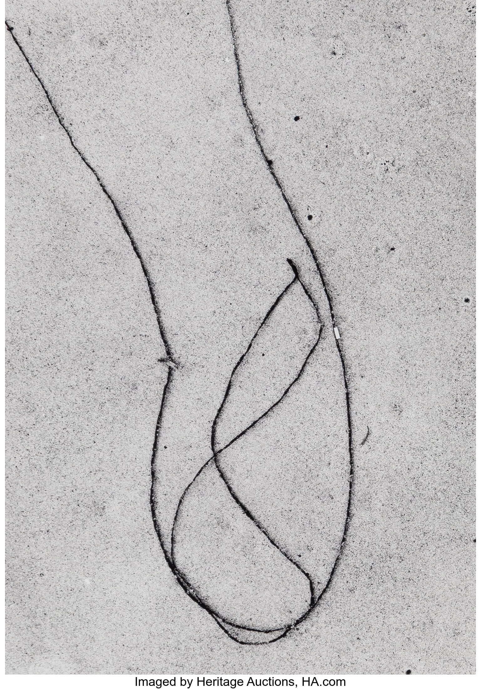 Aaron Siskind (American, 1903-1991) Seaweed 12, (1 of 3)