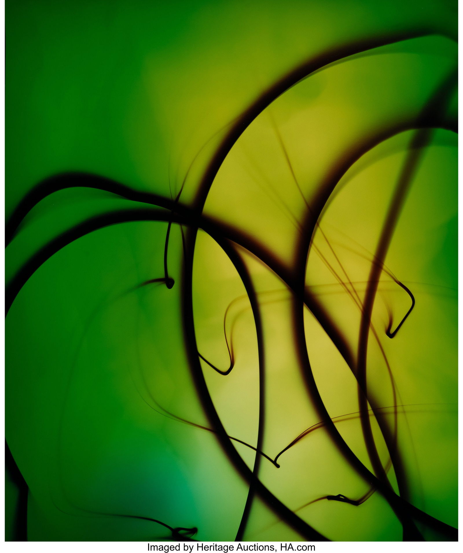 Ellen Carey (b. 1952) Untitled (Green Penlight D (1 of 3)