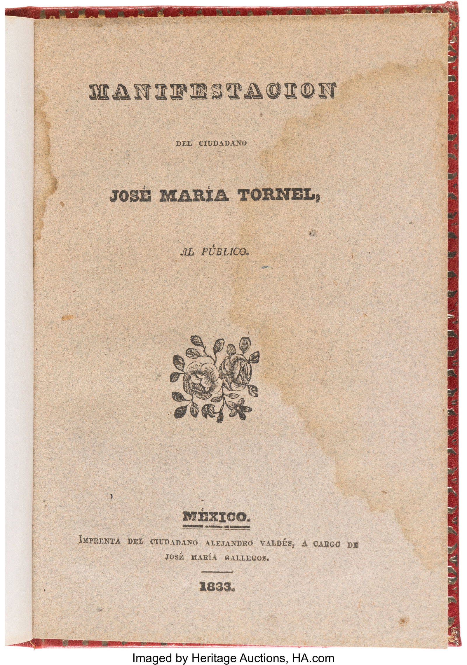 José María Tornel. Manifestación del Ciudadan (1 of 4)