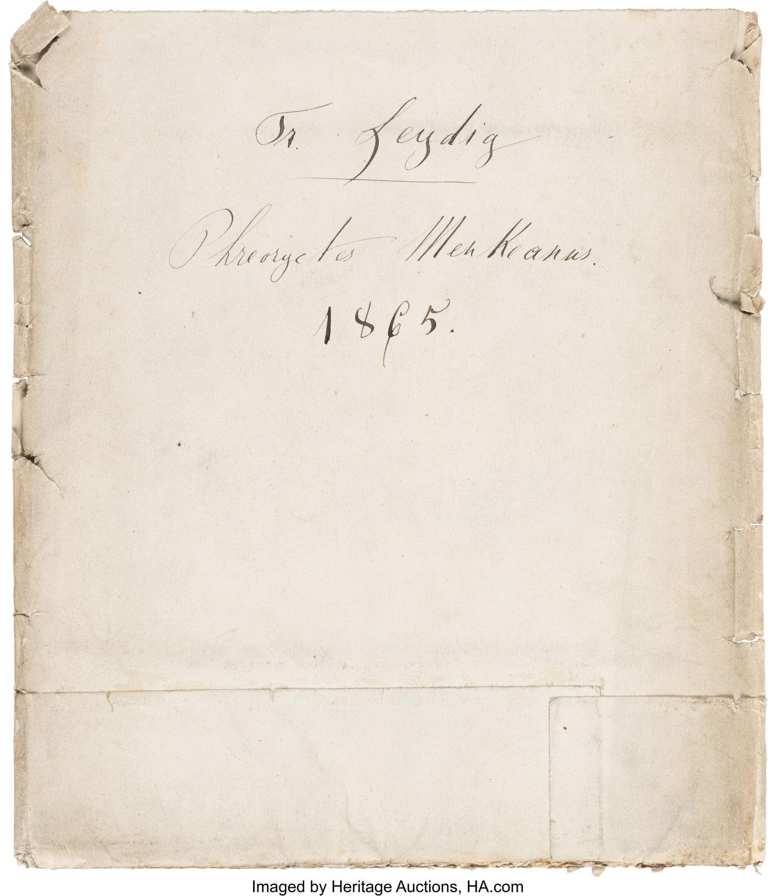 [Franz von Leydig]. Period Fair Manuscript Copy (1 of 3)