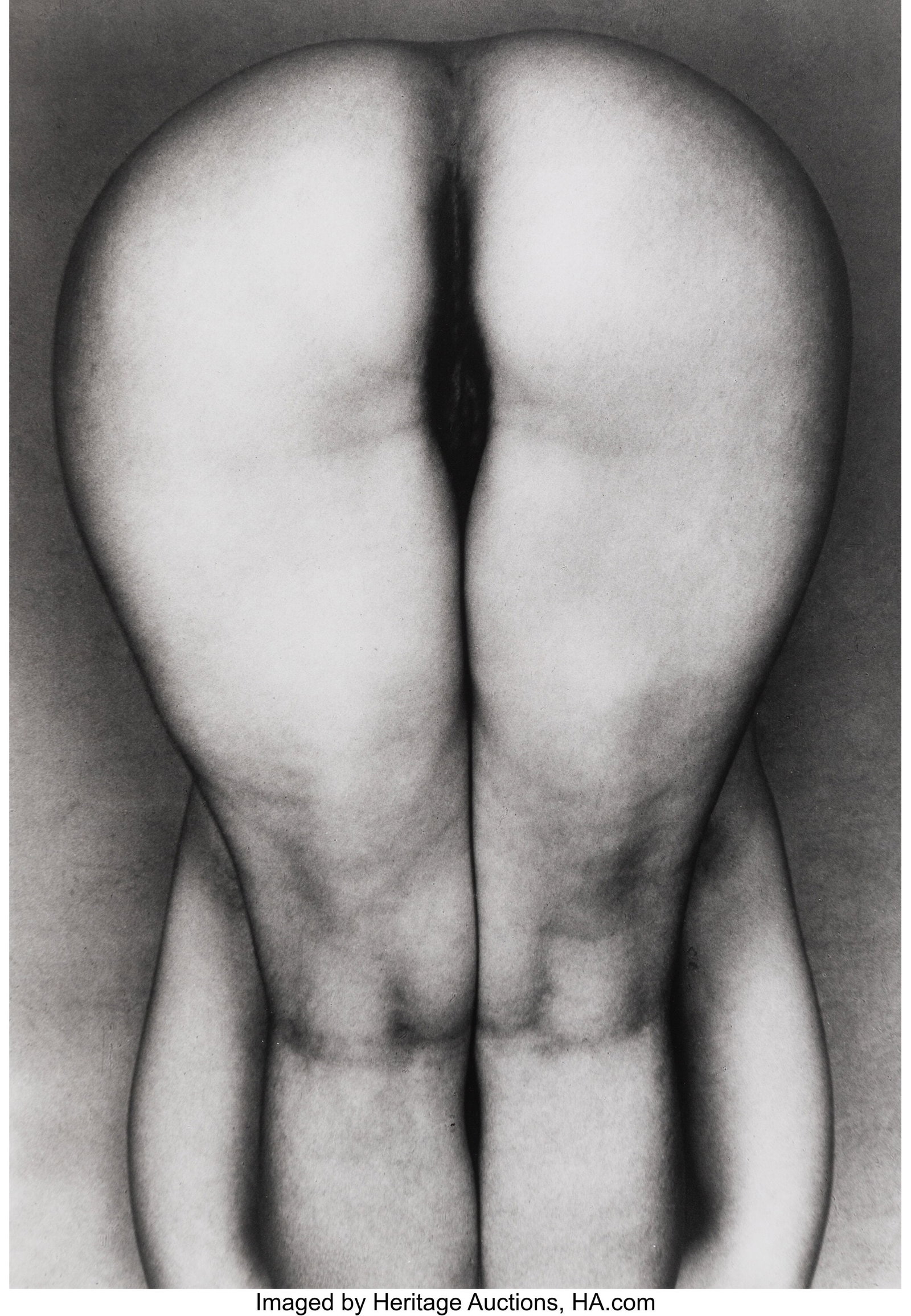Edward Weston (American, 1886-1958) Nude, 1928 G: Edward Weston (American, 1886-1958) Nude, 1928 Gelatin silver print, printed later 19-1/2 x 13-1/2 inches (49.5 x 34.3 cm) (image)