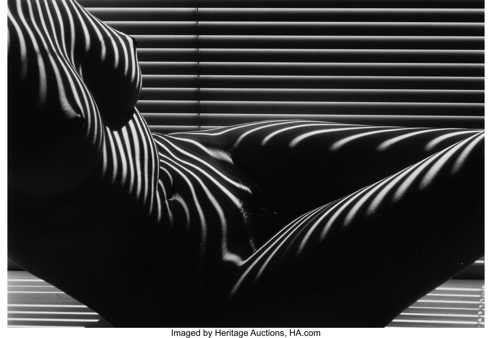 Lucien Clergue (French, 1934-2014) Zebra Nude, N: Lucien Clergue (French, 1934-2014) Zebra Nude, New York, 1997 Gelatin silver print 9-3/4 x 14-1/4 inches (24.8 x 36.2 cm) (image)